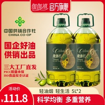 伽伽禧添加特级初榨橄榄油调和油5L*2桶装健康家用色拉食用油官方