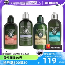 【自营】欧舒丹5合1草本菁纯护发素护发乳250ml强韧修护蓬松控油