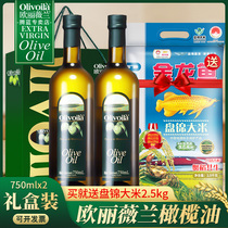欧丽薇兰olive纯正橄榄油750ml*2瓶礼盒装家用端午送礼食用植物油