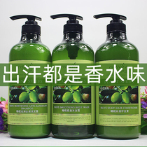 橄榄油洗发水控油蓬松正品官方品牌洗头发香波去屑止痒套装三件套