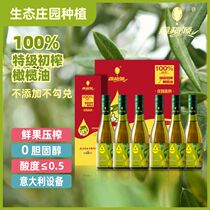 鑫榄源·特级初榨橄榄油（375ml*6） 瓶装新鲜冷榨食用油植物油