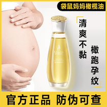 袋鼠妈妈橄榄油准孕妇妊娠油预防淡化护理专用身体乳滋润护肤品