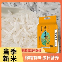 臻选长粒香新鲜当季新米优质现磨香米煲仔饭大米20斤猫牙正宗