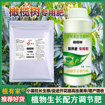 橄榄树专用肥油橄榄肥料山果高产量种植橄榄果树绿色有机肥营养液