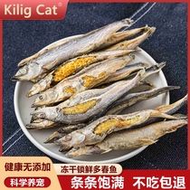KiligCat猫咪零食冻干多春鱼营养增肥发腮补钙满籽小鱼干幼小猫粮