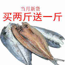 新货咸鲅鱼干500g马鲛鱼干海鲜干货刀鲅鱼干海鱼咸鱼干水产品