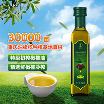 渝江源正品特级初榨橄榄油食用油小瓶250ml炒菜凉拌煎牛排家用油