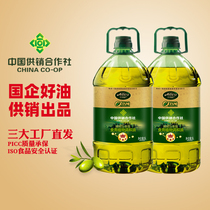 艾丽欧特级初榨橄榄油食用油山茶油5升x2桶压榨调和油官方正品