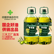 旗舰店多丰盛橄榄油食用油含初榨橄榄5L*2瓶植物调和油官方正品