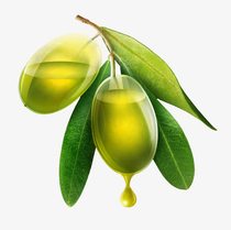 西班牙橄榄油 1L 天然基底油植物油护肤原料紧致修复滋润保湿原料