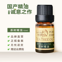 茶树精油 10ml 单方精油 天然植物护肤控油战痘 香薰 国产品牌
