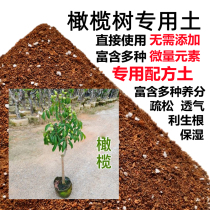 橄榄树土油橄榄树专用土盆栽营养土碱性沙质土壤家用绿植种植肥料