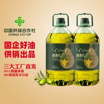 伽伽禧添加特级初榨橄榄油调和油5L*2桶装健康家用色拉食用油官方